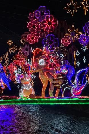 Alumbrados navidad Medellín
