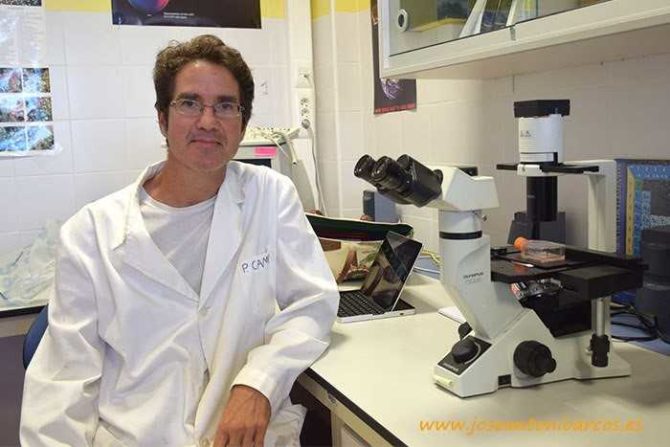 Continúa el debate sobre el grafeno en las vacunas. ¿Quién es Pablo Campra  Madrid, el científico que dirige la investigación? | Noticiero Universal