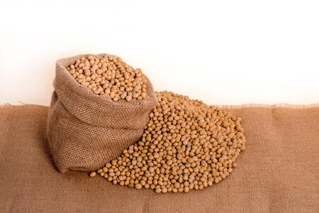 Soybeans 2039637 1280
