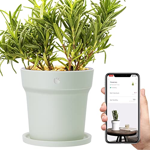 WANFEI Maceta Inteligente, Smart Maceta de Plantas Contenedores de Plantas con Función de Monitor de Plantas Monitoreo en Tiempo Real de Humedad/Fertilizante/para Android iOS