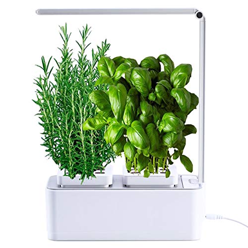amzWOW Smart Garden Huerto de Interior 100% Eco, para Cultivar Plantas aromaticas Semillas Bio, Plantas Naturales Interior -Luz LED incluida - Dimensiones 28.5 x 11.7 x 37 cm