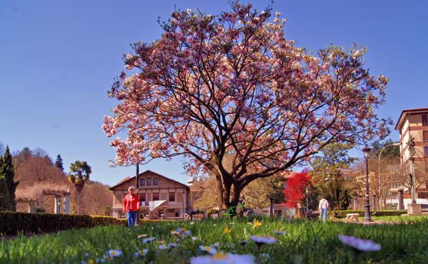 El parque de Lamuza de Llodio es un auténtico jardín botánico. 