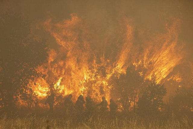 Un incendio asola la Sierra de la Culebra de Zamora