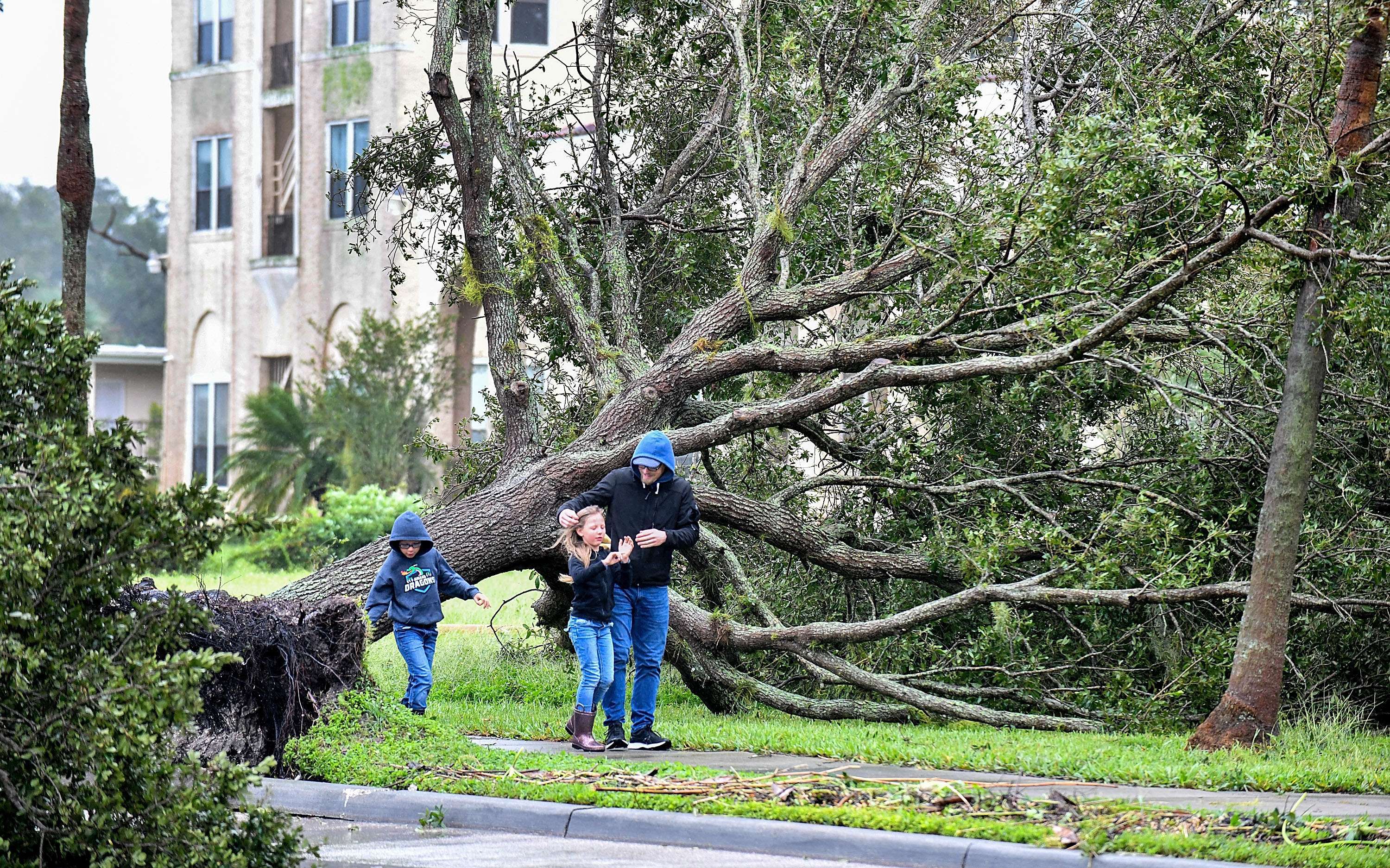 Un árbol caído bloquea la acera después de ser derribado por el huracán Ian el 29 de septiembre de 2022 en Sanford, Florida. (Foto: Gerardo Mora/Getty Images/AFP)