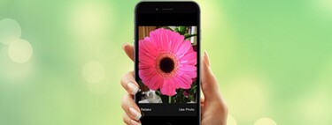 9 aplicaciones para identificar plantas con tu móvil