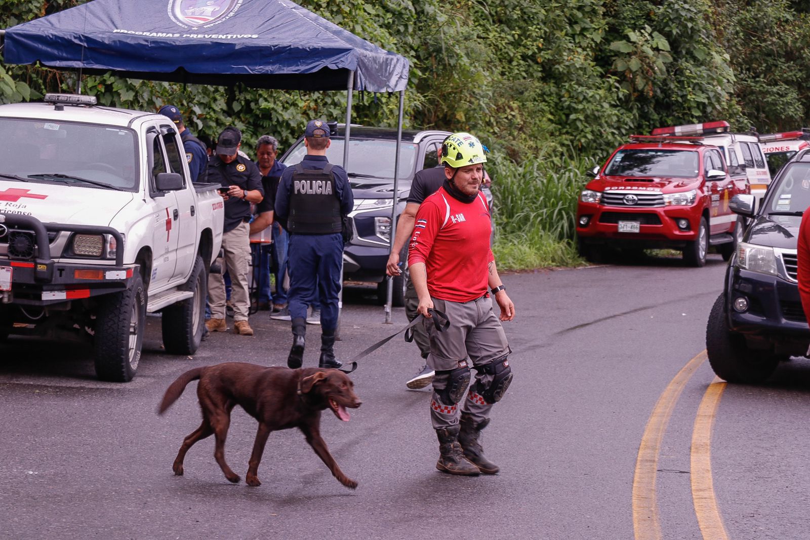 Los perros ayudan a los socorristas en la escena del accidente en Cambronero.