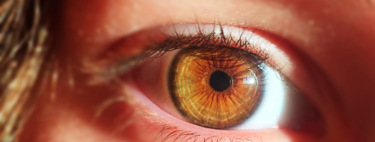 Han creado un ojo artificial que tiene la misma estructura que uno biológico y que ha podido "ver"