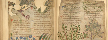 Este precioso manuscrito de 1.000 años te permite pasear por centenares de remedios herbales medievales